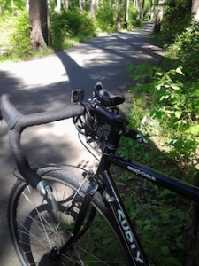surly cross-check surly cross-check