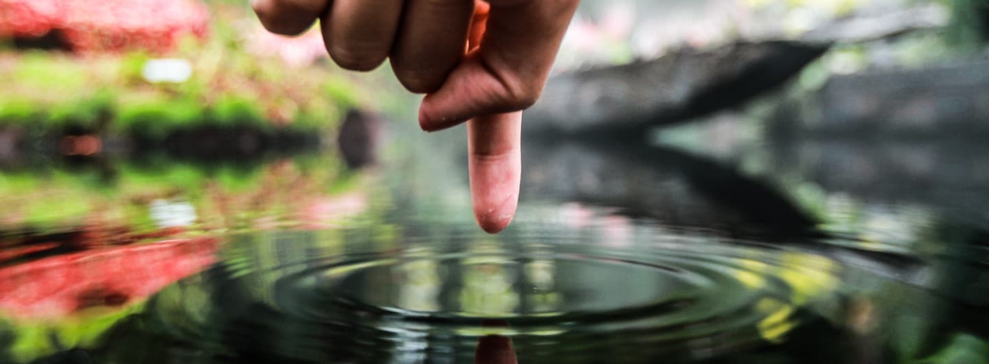 finger dipping in a pond